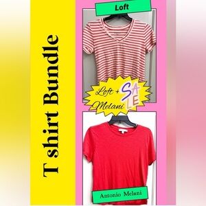 Tshirt Bundle Antonio Melani + Loft